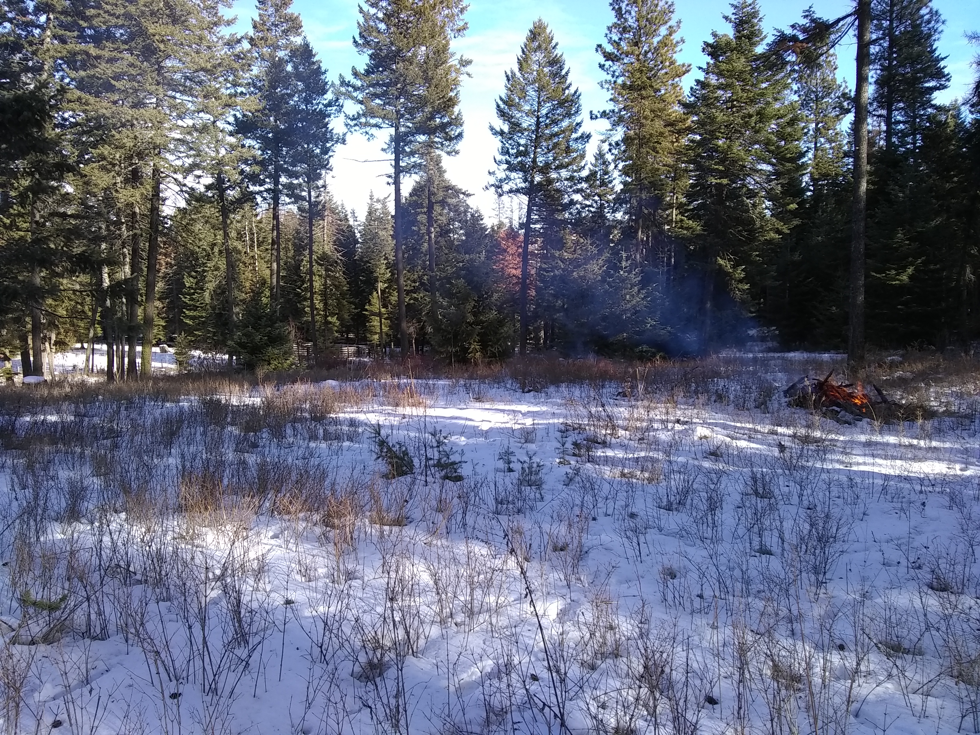 IMG_20181215_123618627