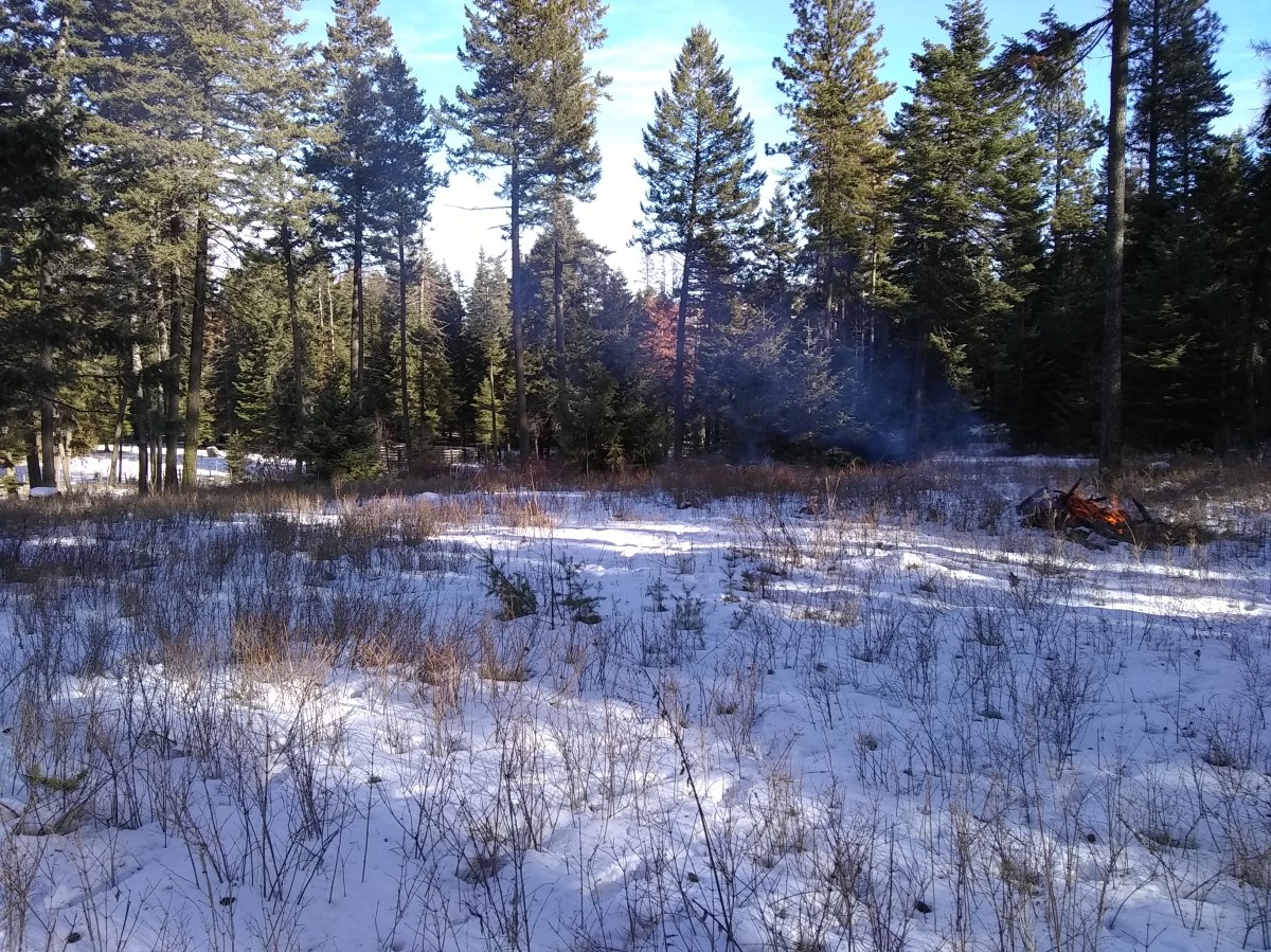 IMG_20181215_123618627