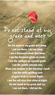 51hGPWk5cBL._AC_UL320_SR186,320_