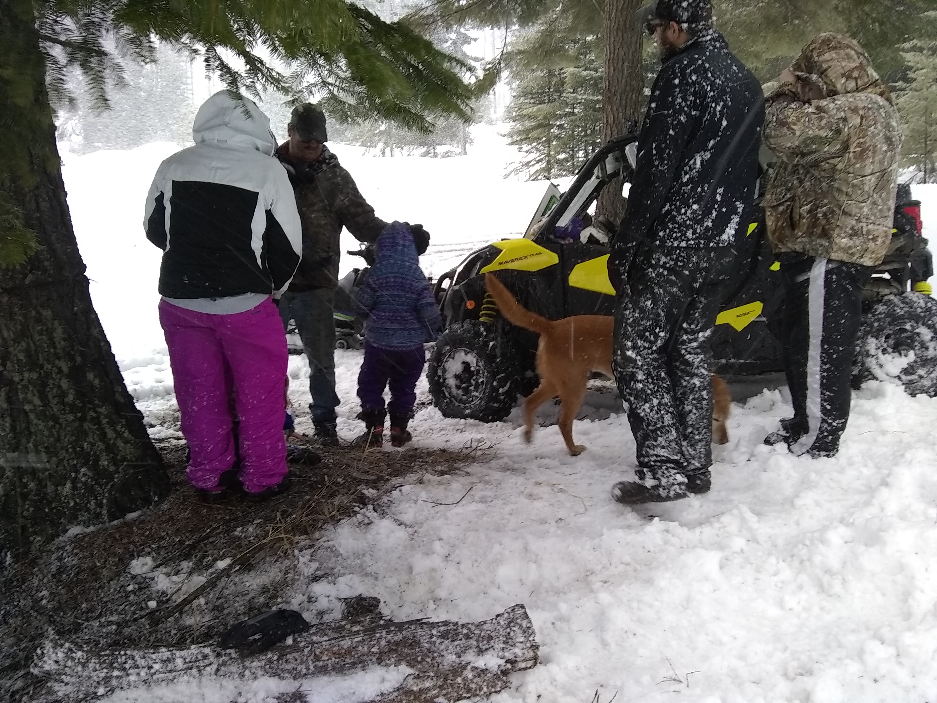 IMG_20200223_141534211